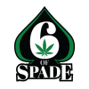 6 Of Spade